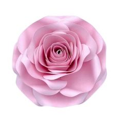 Flower 74