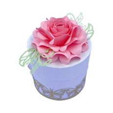 Butterfly Garden Box