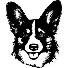 Corgi Dog