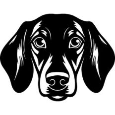 Dachshund Dog
