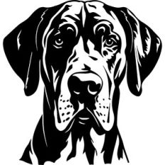 Great Dane Dog