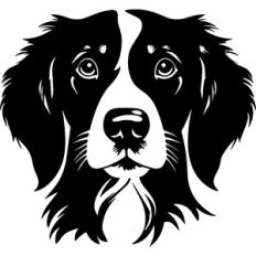 Pointer Dog
