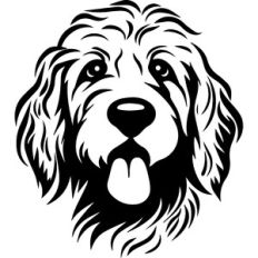 Goldendoodle Dog