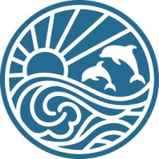 Beach Dolphins