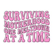 Surviving motherhood one meltdown at a time