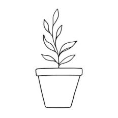 Pot with plant