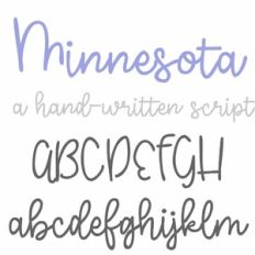 ZP Minnesota