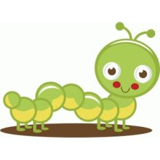 cute caterpillar