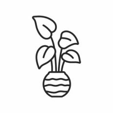 Plant outline
