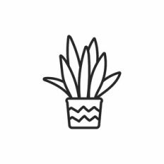 Plant outline