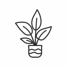 Plant outline