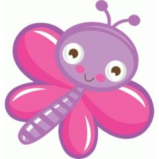 cute butterfly
