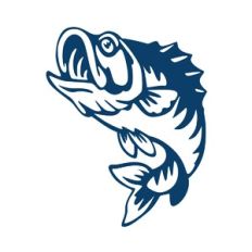 Fish Jumping
