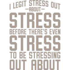 i stress out about stress