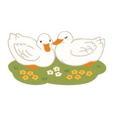 Ducks Cuddling
