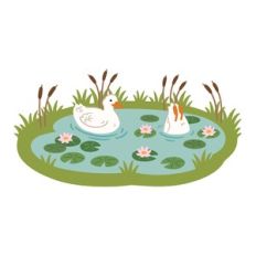 Duck Pond