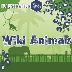 PN Wild Animals