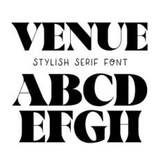 BFC Venue Modern Bold Wedding Serif Font