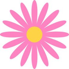 Pink Daisy