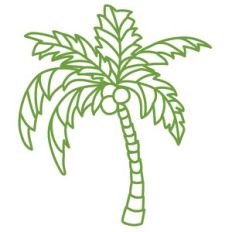 palm tree