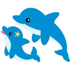 cute dolphins