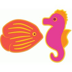 summer sea creatures