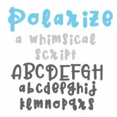 PN Polarize Bold