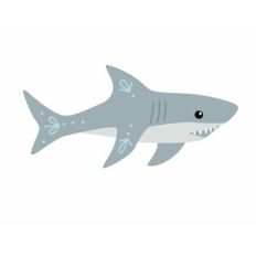 Great White Shark