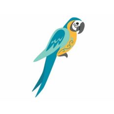Blue Gold Macaw