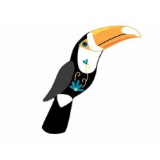 Toucan