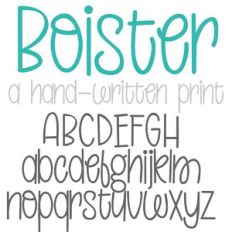PN Boister