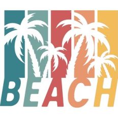 Beach Palm Trees