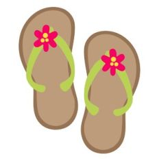 Flip Flops