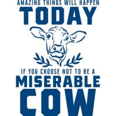 amazing things will happen today