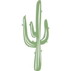 saguaro cactus