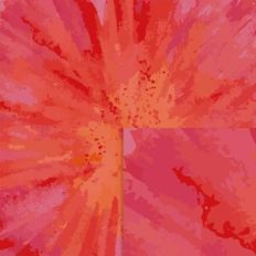 Pink Watercolor Pattern With Orange
