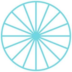 pie chart 16