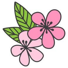 Tropical Flowers