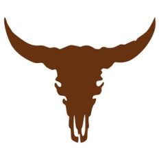 Cow Skull