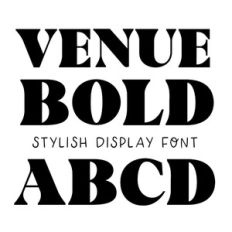 BFC Venue Bold Modern Stylish Serif Wedding Font
