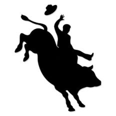 Rodeo Cowboy