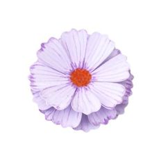LILAC WATERCOLOR FLOWER 01