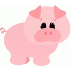 pig on the farm
