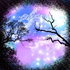 Twilight Fantasy Forest Background Pattern