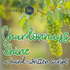 ZP Chardonnays Shine