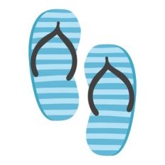 Flip Flops