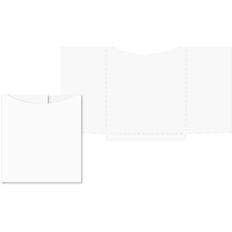 Env Sleeve COVID Record US Passport