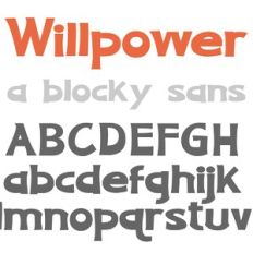 PN Willpower