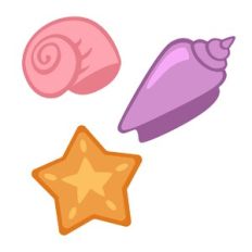 Sea Shells