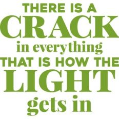 that is how the light gets in